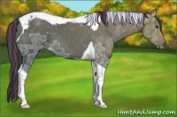 Horse Color:Painted Liver Chestnut Ice Tobiano 