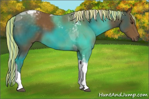 Horse Color:Painted Chocolate Palomino Tobiano 