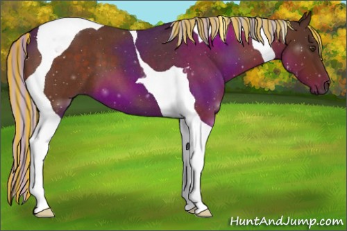 Horse Color:Painted Silver Brown Roan Tobiano 