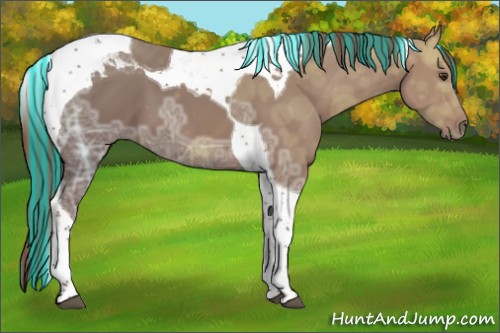 Horse Color:Painted Chestnut Ice Tobiano