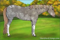 Horse Color:Painted Liver Chestnut Ice Tobiano 