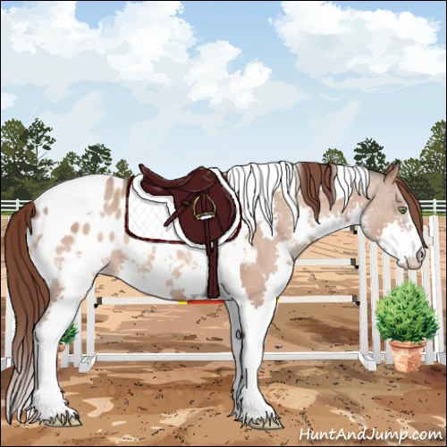 Horse Color:Amber Champagne Splash Tobiano Appaloosa 