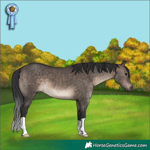 Horse Color:Brown Dun