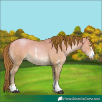 Horse Color:Brown Pearl Dun Sabino