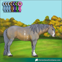Horse Color:Watercolor Brown Sabino 