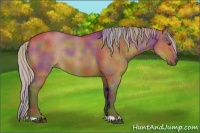 Horse Color:Nacre Silver Brown Dun 