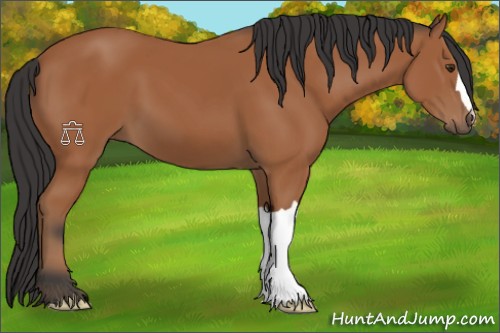 Horse Color:Bay 