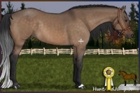 Horse Color:Brown Dun Rabicano