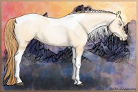 Horse Color:Buckskin Pearl Dun Sabino Tobiano 