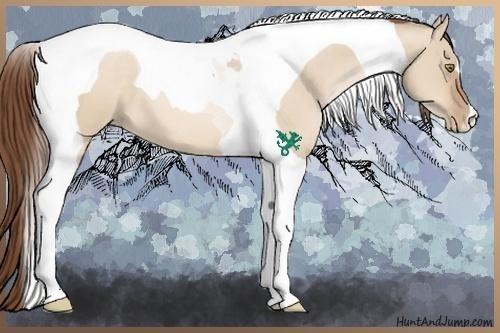 Horse Color:Brown Pearl Dun Tobiano 