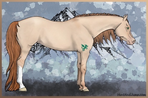 Horse Color:Gold Champagne Roan Dun 