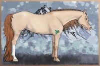 Horse Color:Gold Champagne Roan Dun 