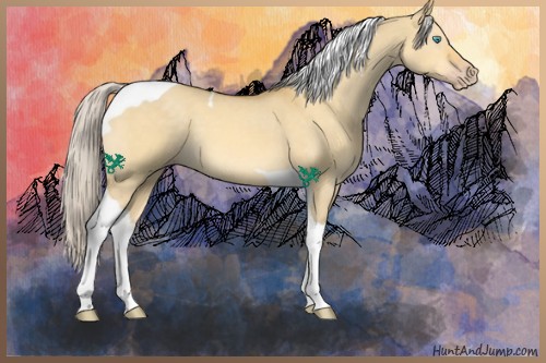 Horse Color:Silver Amber Cream Champagne Dun Tobiano 