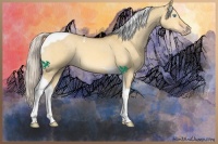 Horse Color:Silver Amber Cream Champagne Dun Tobiano
