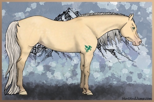 Horse Color:Silver Amber Cream Champagne Dun 