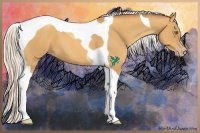 Horse Color:Silver Classic Cream Champagne Tobiano 