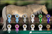 Horse Color:Silver Buckskin Dun Brindle 