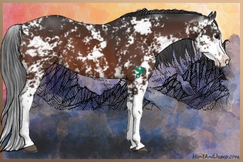 Horse Color:Brown Sabino