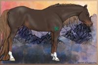 Horse Color:Liver Chestnut 