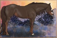 Horse Color:Liver Chestnut Frame 