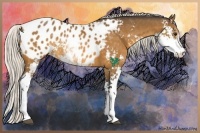 Horse Color:Silver Buckskin Sabino Blanket Rabicano 