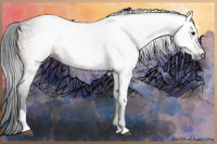 Horse Color:Gray Brown Sabino 