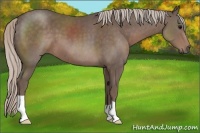Horse Color:Silver Black 