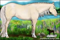 Horse Color:Silver Smoky Grullo Pearl 
