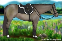Horse Color:Smoky Black 