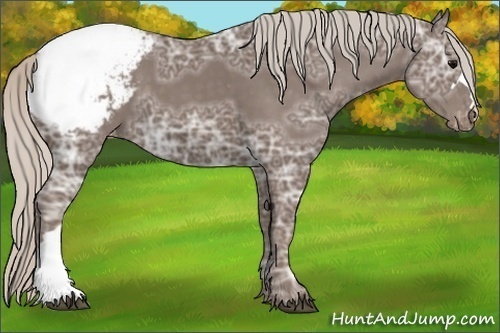 Horse Color:Silver Black Ice Snowcap 