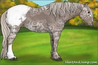 Horse Color:Silver Black Ice Snowcap 