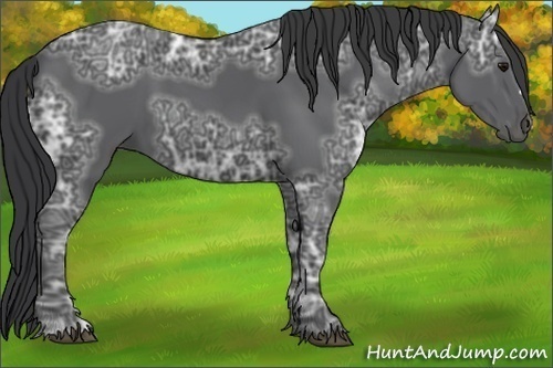 Horse Color:Black Ice 