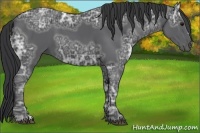 Horse Color:Black Ice 