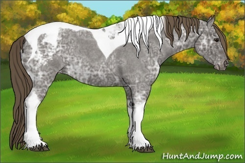 Horse Color:Smoky Blue Ice Roan Tobiano Varnish 