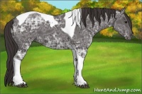 Horse Color:Smoky Black Ice Tobiano