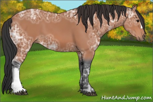 Horse Color:Bay Ice 