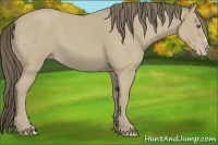 Horse Color:Classic Cream Champagne Roan
