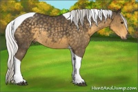 Horse Color:Silver Smoky Black Tobiano Rabicano