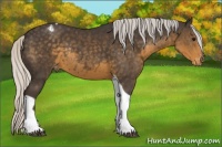 Horse Color:Silver Smoky Black Tobiano Appaloosa Rabicano 