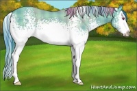Horse Color:Watercolor Plaid  White Spotted Grullo Chinchilla Sabino Splash 