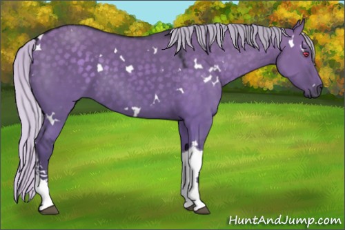 Horse Color:White Spotted Silver Grullo Chinchilla Tobiano 