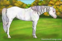 Horse Color:Nacre White Spotted Silver Sable Champagne Chinchilla Ice Onyx 