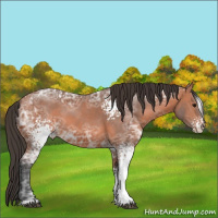 Horse Color:White Spotted Bay Ice