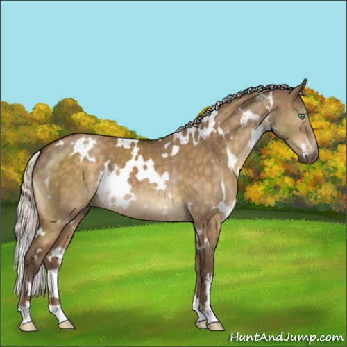 Horse Color:White Spotted Silver Buckskin Dun Mushroom Brindle