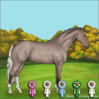 Horse Color:Liver Red Roan Mushroom 
