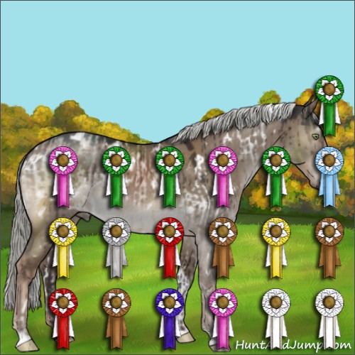 Horse Color:White Spotted Liver Red Dun Mushroom Brindle and White Spotted Liver Red Dun Mushroom Brindle