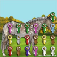 Horse Color:White Spotted Liver Red Dun Mushroom Brindle  and White Spotted Liver Red Dun Mushroom Brindle 