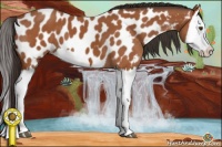 Horse Color:Bay Splash Near Leopard 