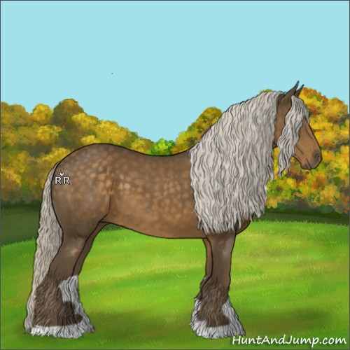 Horse Color:Chocolate Palomino 