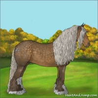 Horse Color:Chocolate Palomino 